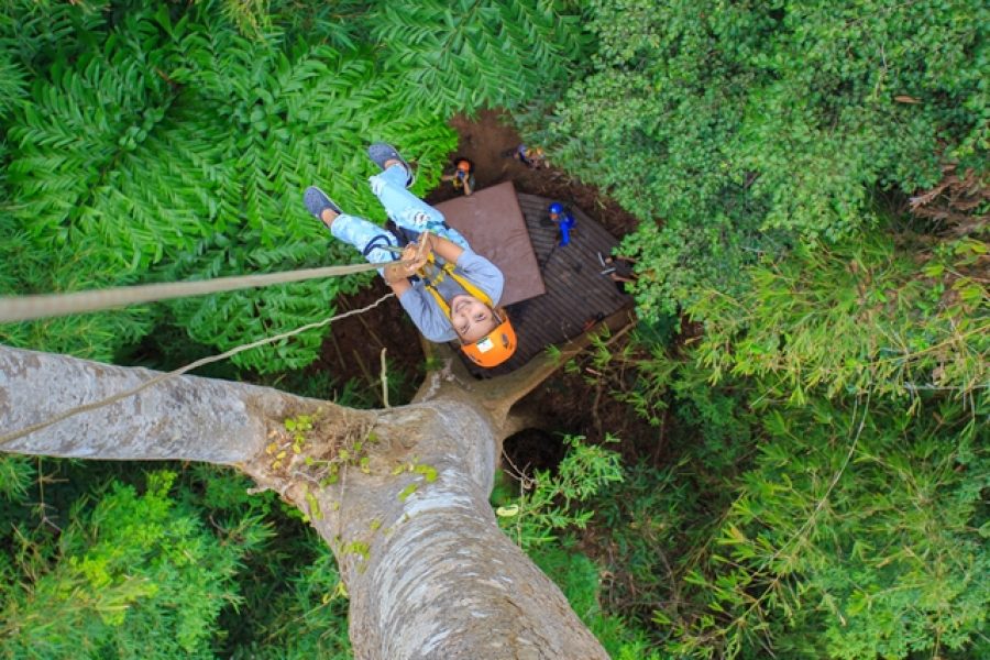 ZipLine 10 platform Phuket Paradise